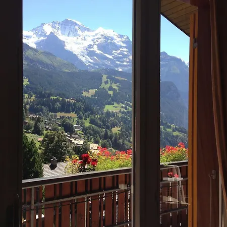 Minotel Bellevue Отель