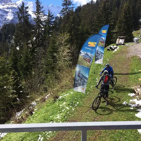 Minotel Bellevue Отель 3*