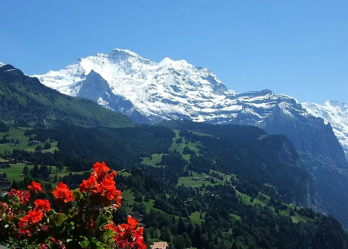 Minotel Bellevue Wengen