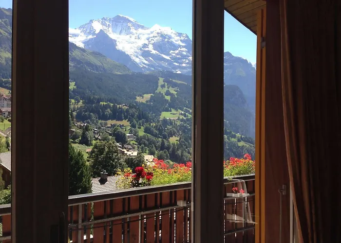 Minotel Bellevue מלון