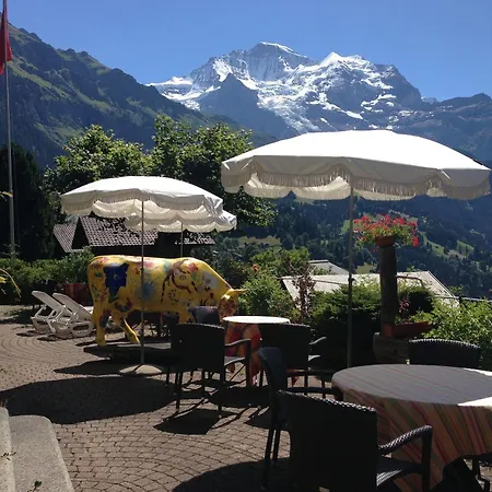 Minotel Bellevue Otel Wengen
