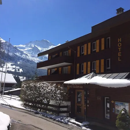 Otel Minotel Bellevue Wengen