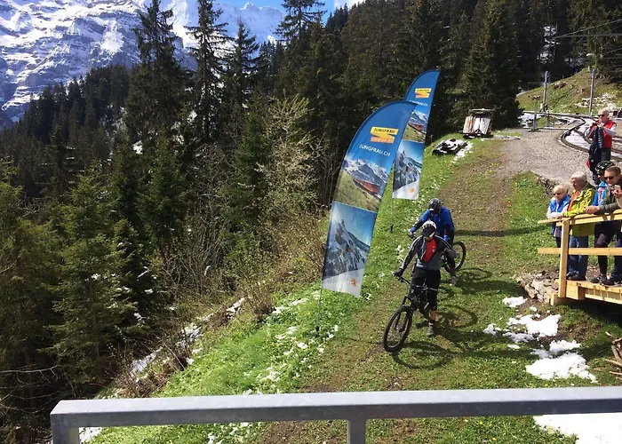 Minotel Bellevue Hotel 3*