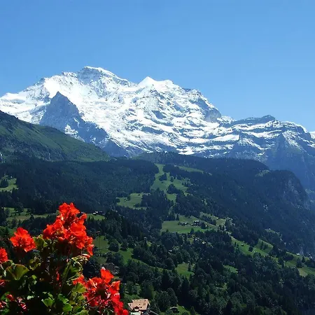 Minotel Bellevue Wengen