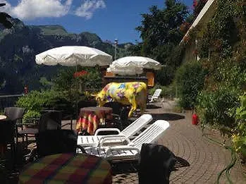 Minotel Bellevue 3* Венген