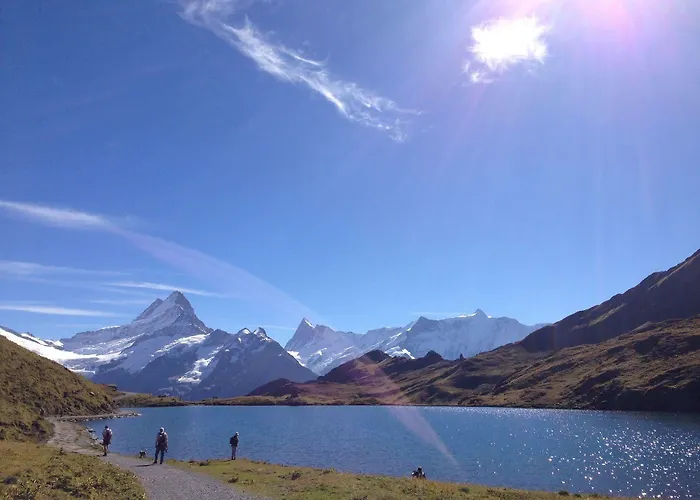 فندق Minotel Bellevue 3*